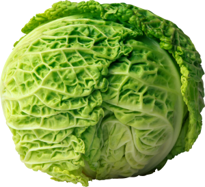 Cabbage PNG image-8809